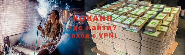 дурь Бородино