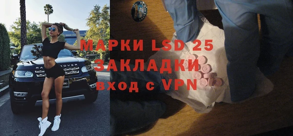 дурь Бородино