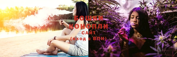 дурь Бородино